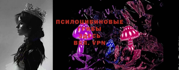 крисы Белая Холуница