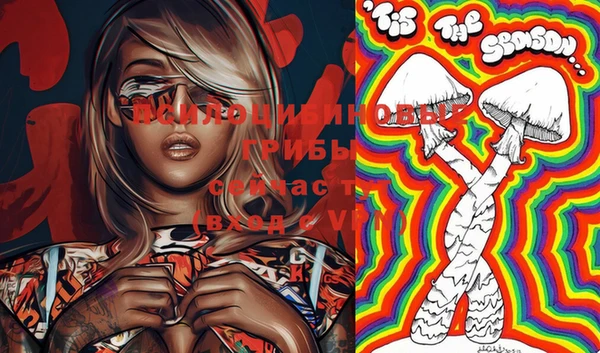 PSILOCYBIN Беслан